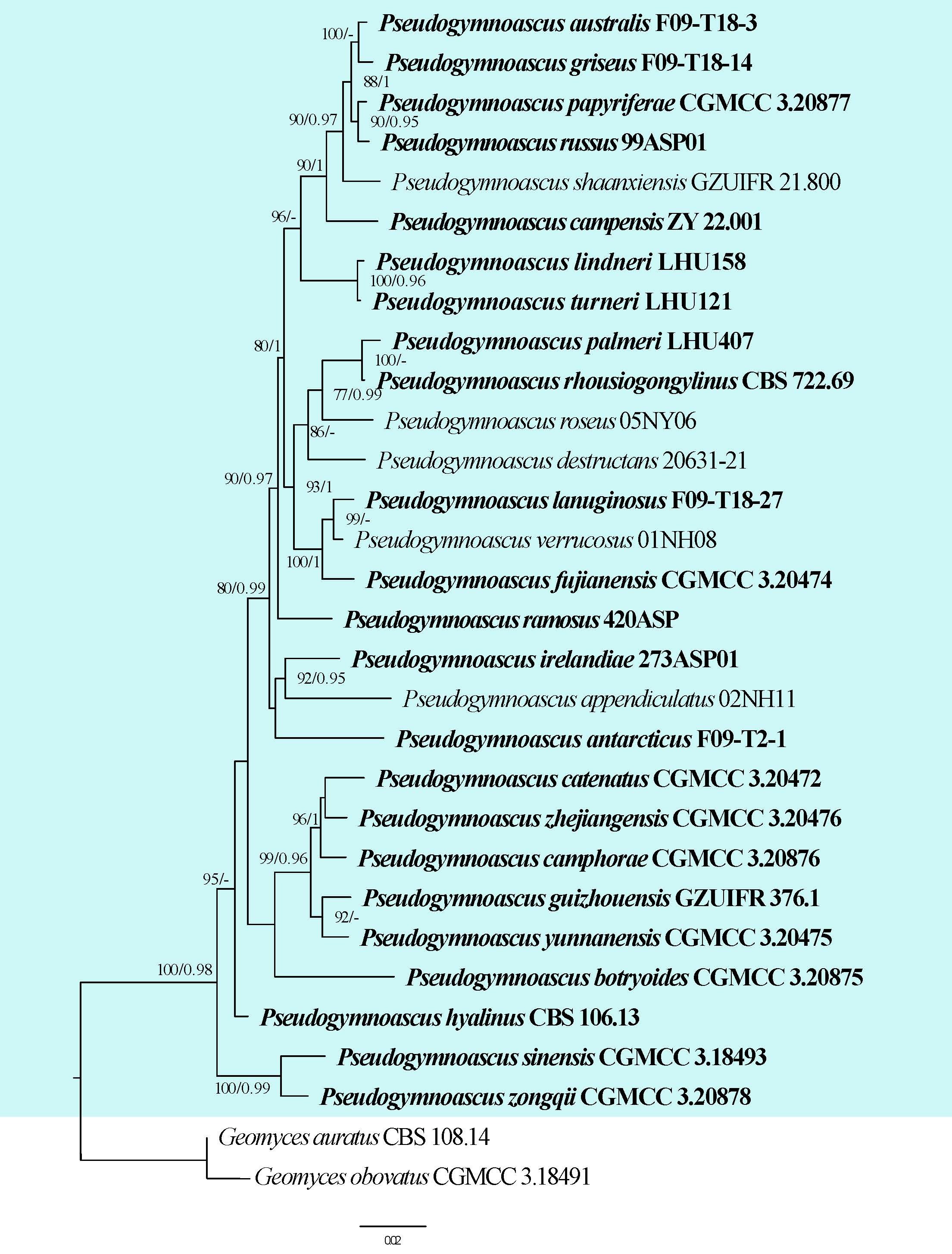 Figure 36